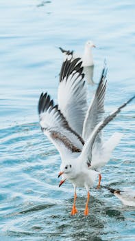 挖掘传统智慧；涵养政绩观念；新时代党员干部须坚持人民至上。