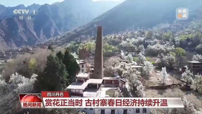  从机械轰鸣到花香四溢；科技春耕遇上春游热潮，田野焕发新活力。 IT技术 从机械轰鸣到花香四溢；科技春耕遇上春游热潮，田野焕发新活力。 IT技术 从机械轰鸣到花香四溢；科技春耕遇上春游热潮，田野焕发新活力。 IT技术