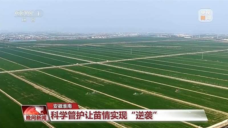  从机械轰鸣到花香四溢；科技春耕遇上春游热潮，田野焕发新活力。 IT技术 从机械轰鸣到花香四溢；科技春耕遇上春游热潮，田野焕发新活力。 IT技术 从机械轰鸣到花香四溢；科技春耕遇上春游热潮，田野焕发新活力。 IT技术