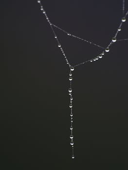 百股齐涨的背后：短线技术突破与乖离率的风险预警