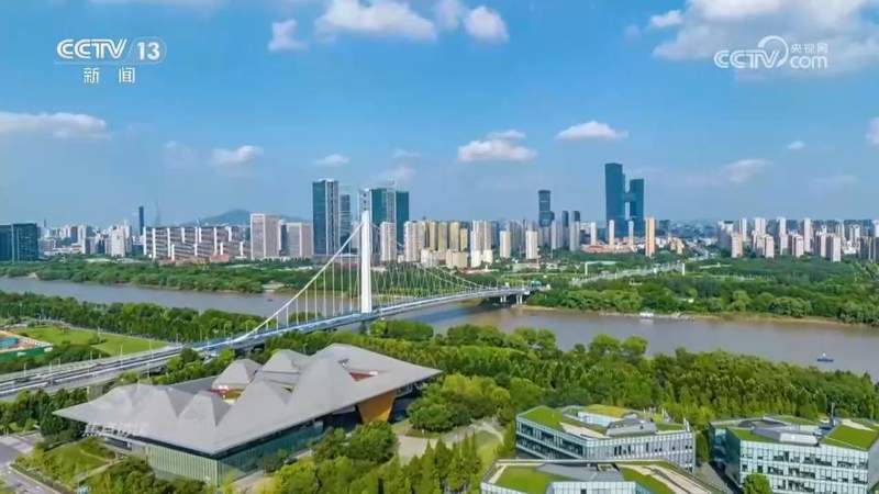  高效物流实操指南：国家物流枢纽网络获取与应用策略 IT技术