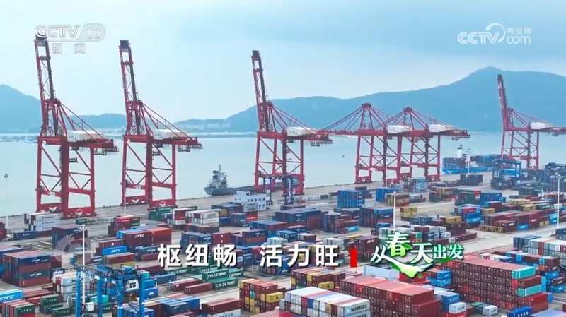  高效物流实操指南：国家物流枢纽网络获取与应用策略 IT技术