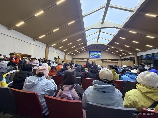  【技术复盘】玉龙雪山9.5级大风下的索道降速逻辑与游客滞留事件深度剖析 文化旅游