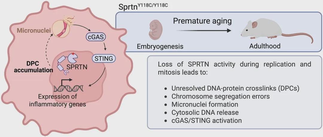  《当生命代码出错：一个罕见遗传病家庭如何在绝望中找到新的希望》 健康养生