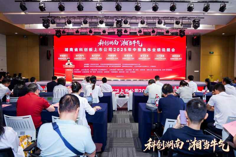 研发投入与全球化布局共振:湖南科创板企业中报深度解析 股票财经 研发投入与全球化布局共振:湖南科创板企业中报深度解析 股票财经
