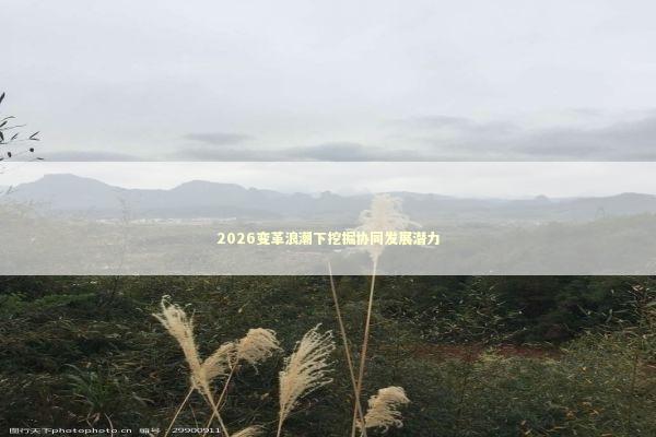 2026变革浪潮下挖掘协同发展潜力 新闻