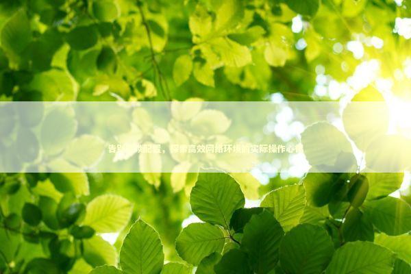 告别繁琐配置，探索高效网络环境的实际操作心得 IT技术