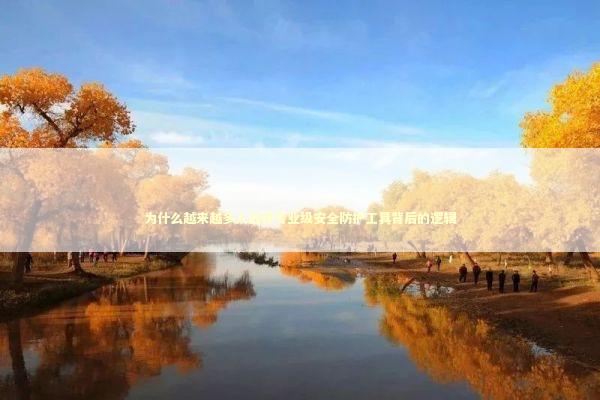 为什么越来越多人选择专业级安全防护工具背后的逻辑 IT技术