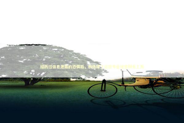 经历过信息泄露的恐惧后，我选择了这款专业加密聊天工具 IT技术