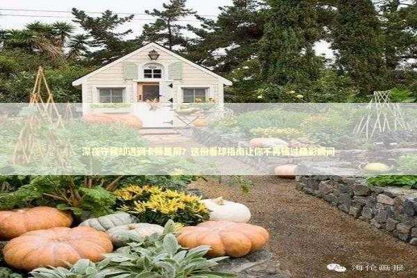 深夜守候却遇到卡顿黑屏？这份看球指南让你不再错过精彩瞬间 体育新闻