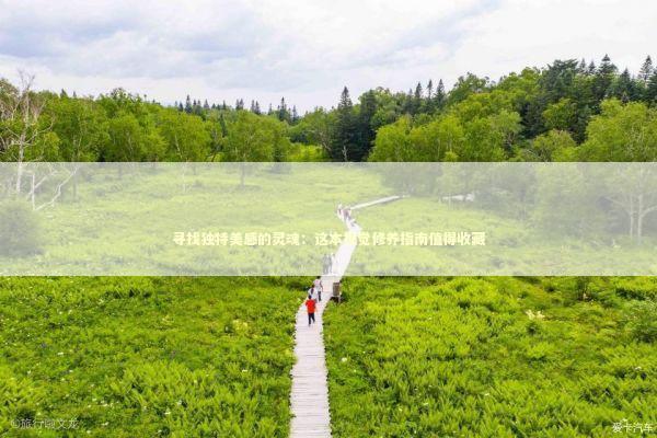 寻找独特美感的灵魂：这本视觉修养指南值得收藏 文化旅游