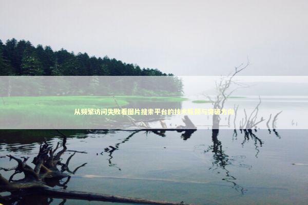 从频繁访问失败看图片搜索平台的技术瓶颈与突破方向 IT技术