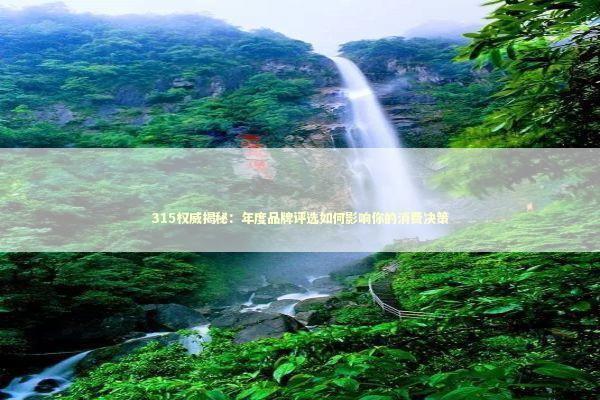 315权威揭秘：年度品牌评选如何影响你的消费决策 新闻