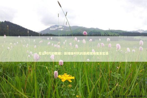 见证时代的眼睛：新媒体时代的新闻现场变革实录 新闻