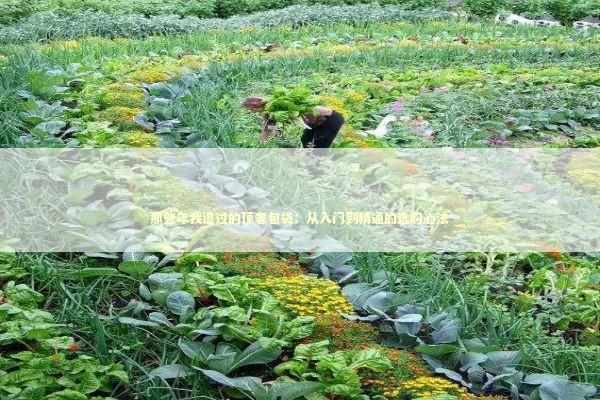 那些年我追过的顶奢包袋：从入门到精通的选购心法 时尚用品