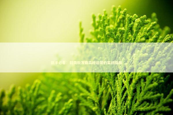 新手必看：鞋类批发商高效运营的实战指南 企业服务