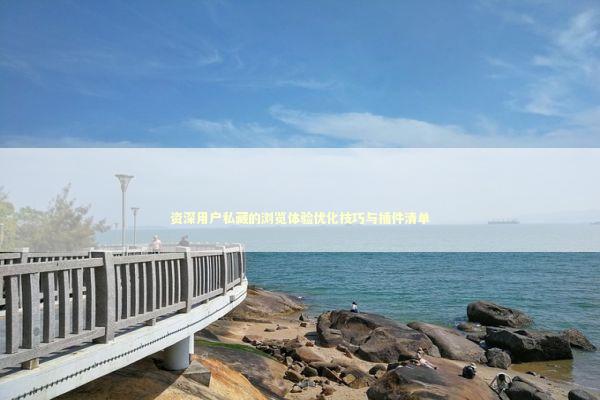 资深用户私藏的浏览体验优化技巧与插件清单 IT技术
